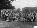 Stanhoe 00353