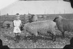 Richard Calver, 1927