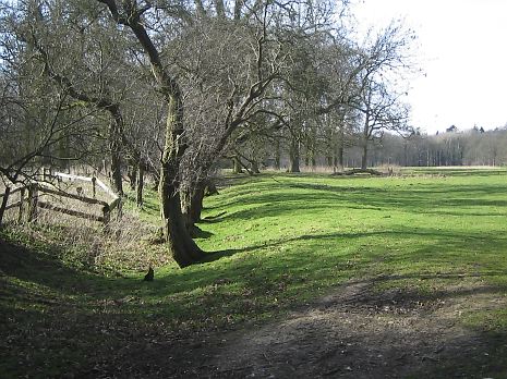 Possible medieval boundary ditch marking the position of Middleton