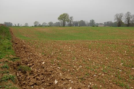 Former marl pit showing as a saucer-shaped depression in a field of young wheat