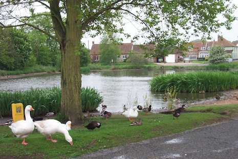Stanhoe