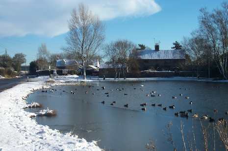Stanhoe